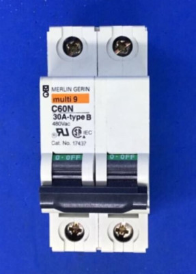 Schneider Electric/Merlin Gerin C60N Multi9 30A Type B MG17437 Circuit ...