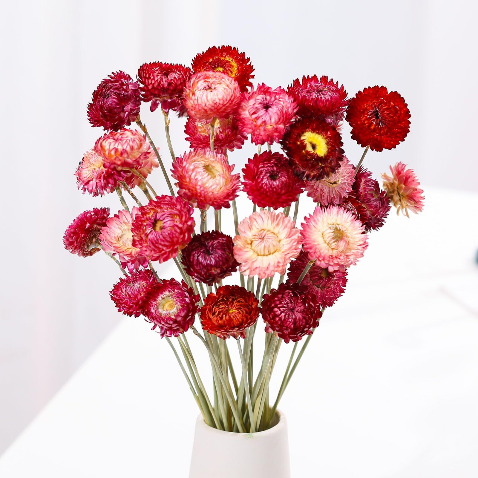 Dried Flowers Bouquet Natural Daisy - 40 PCS Daisies Dried Sunflowers Dry Flo...-image