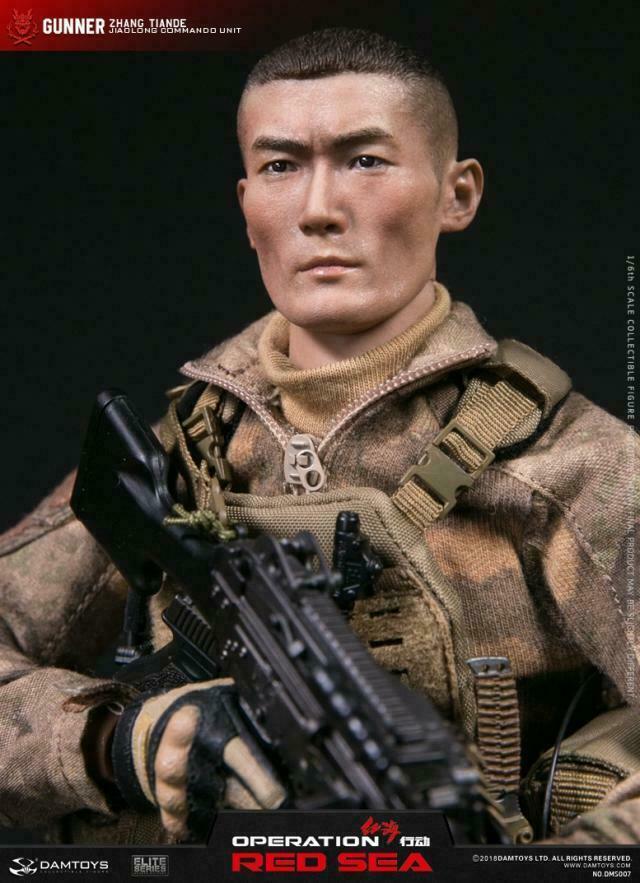 DAMTOYS 1:6 PLA Navy Marine Corps “Jiaolong” Special Operations