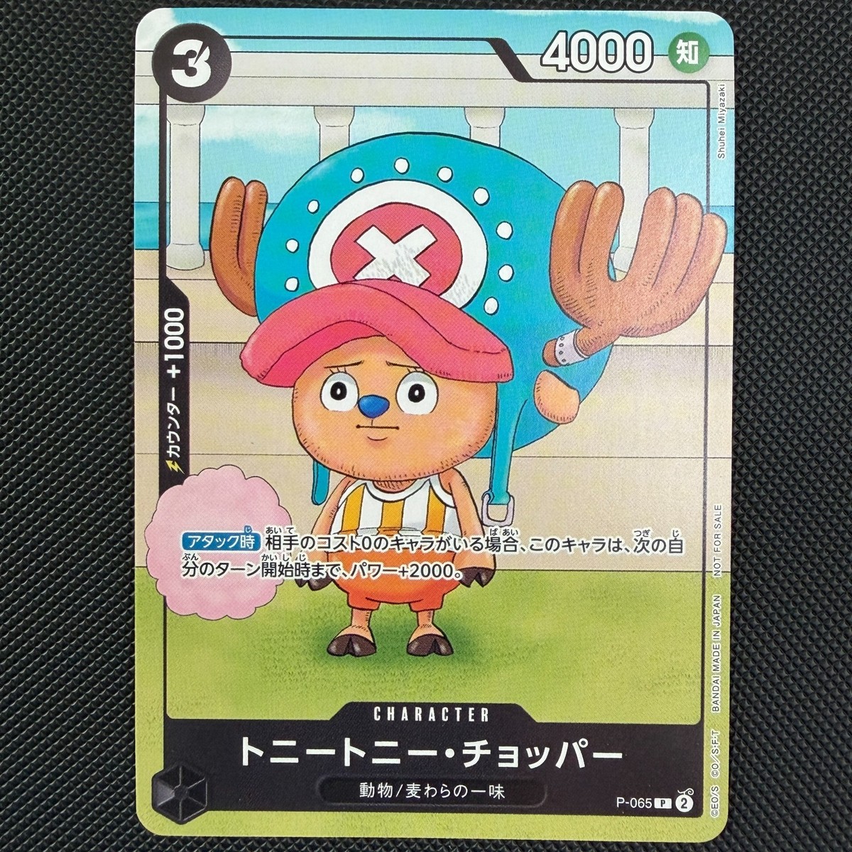 トニートニーチョッパー [P-065] (勉タメジャンプ2024 WINTER) Tony Tony Chopper P-065 P Bentame Jump 2024 WINTER Promo - ONE