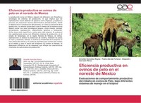 Eficiencia Productiva En Ovinos De Pelo En El Noreste De Mexico Pedro ZáRate For