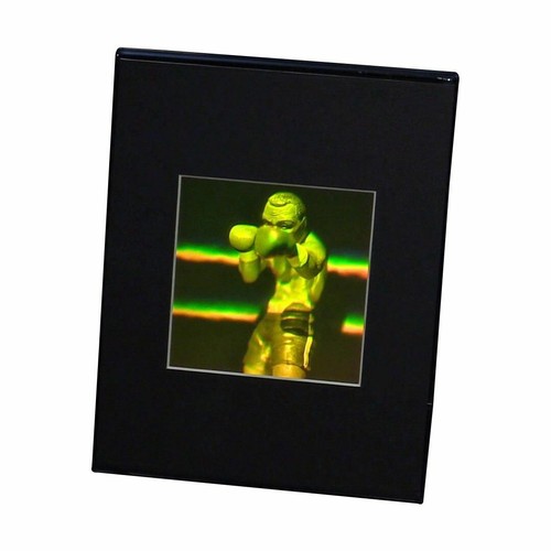 3D Boxer Multi-Channel Hologram Picture DESK STAND Photopolymer Type Film - Picture 3 of 7