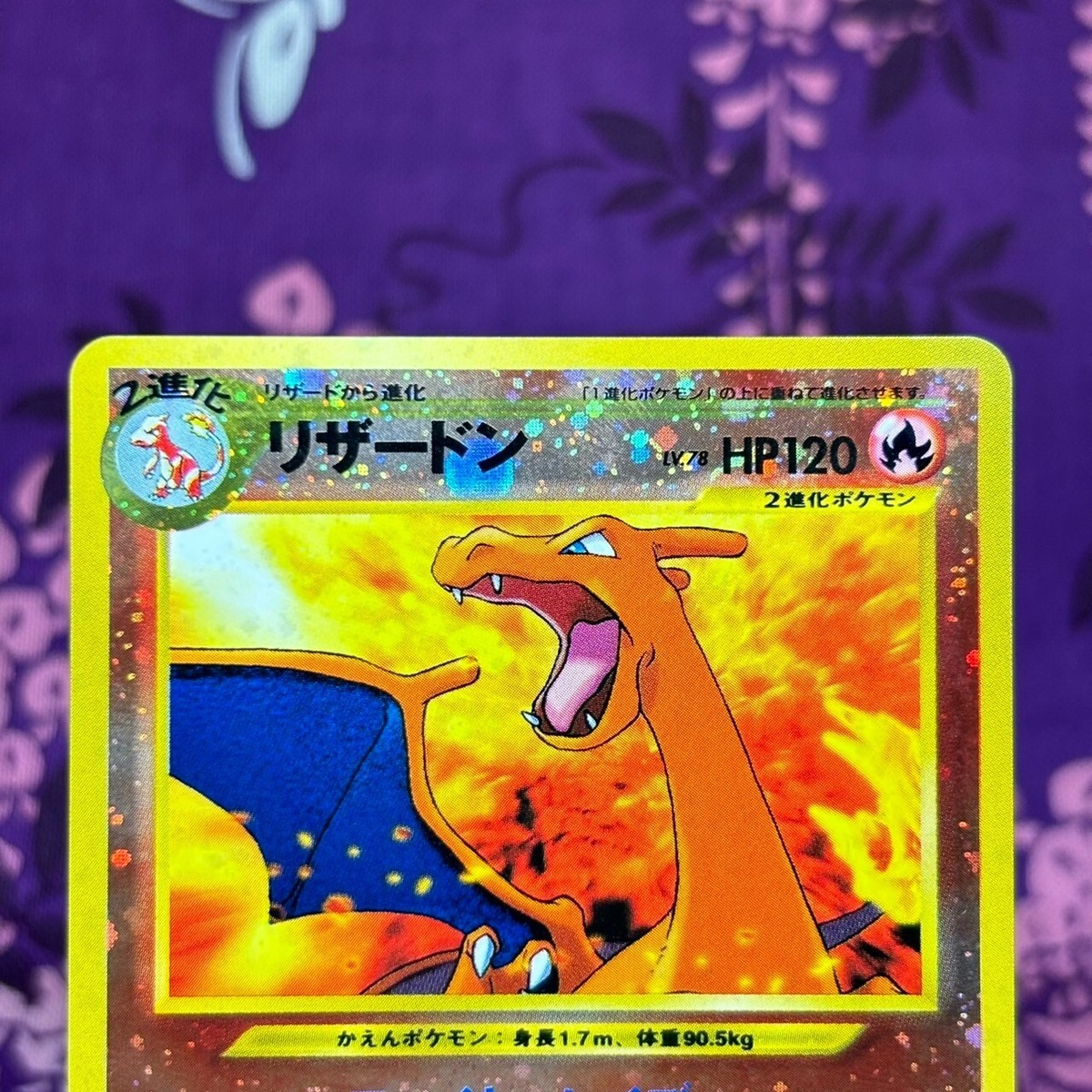 Pokemon Card Charizard No.006 Neo Premium File 2 Old Back Holo