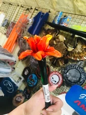 Gorgeous Orange Red Mixed Blown Glass Stem Flower 15.5 Tall