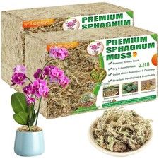 Natural 4.4LBS Sphagnum Moss for Gardening - 80QT for Vibrant Plants  Reptiles