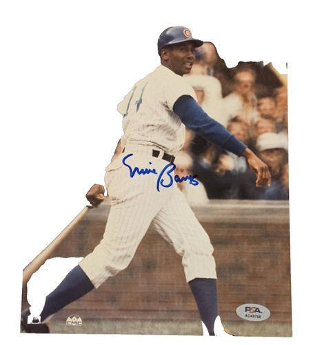 Jim Flanigan Autographed 8x10 color photo Chicago Bears PSA/DNA | eBay