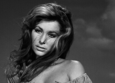 Movie Star Actress Michele Carey Publicity Picture Photo Print 8"x10