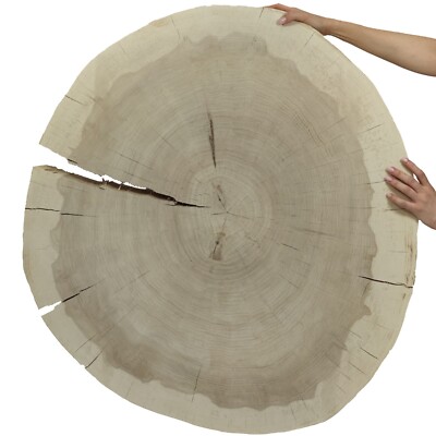 Baumscheibe Holzscheibe OHNE Rinde geschliffen Fi 80x90 cm; 9 cm / Pappel