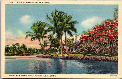 Tropical River Scene Along New River Fort Lauderdale FL Curt Teich Postcard