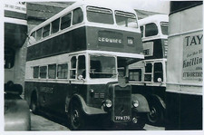 Bus Photo: FFN370 East Kent.  1951 Guy Arab III 6LW / Park Royal H30/26R