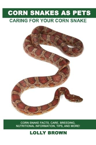 Corn Snakes as Pets: Corn Snake facts, care, breeding, nutriti .
