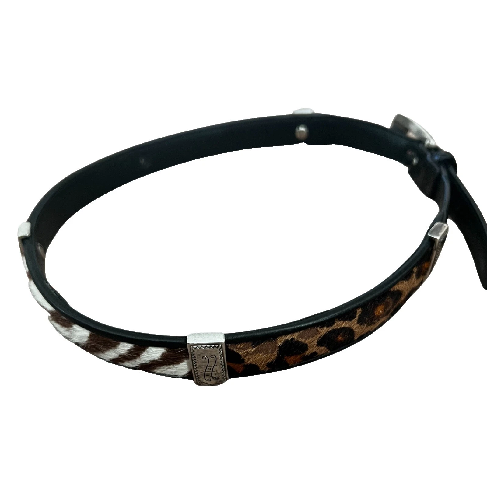 Cinto Feminino Brighton Cintos de Animais