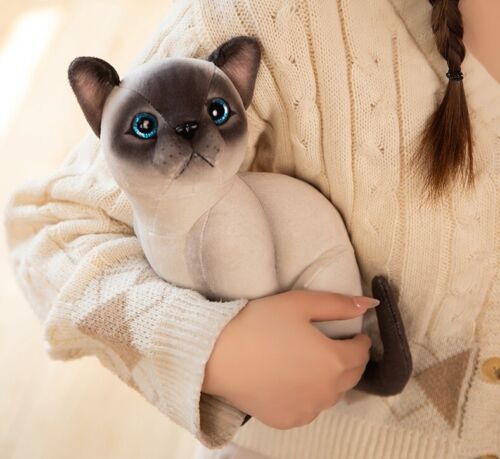 Siamkatze 10 Zoll Stofftier Plüschtiere Kleinkind Puppe Kinder Geschenke - Bild 2 von 4