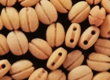 Boxwood Single Block Pulley Ship model kit accessories Wood Pulleys model 10pcs