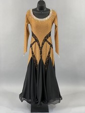 Beautiful Smooth Dance Dress Costume