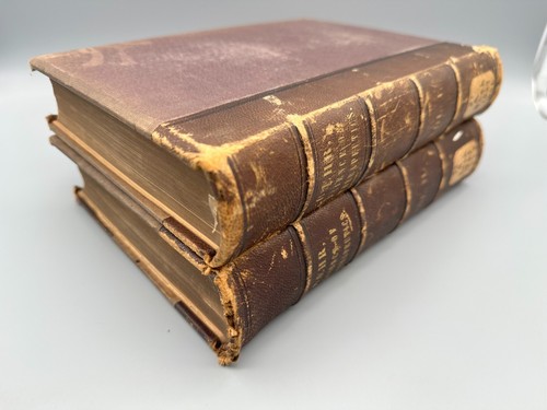 The Science of Therapeutics Homeopathy 2 Volume Bernhard Baehr 1869 1st Edition - Imagen 15 de 18