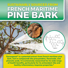 Pycnogenol 100Mg from French Maritime Pine Bark Extract Capsules - Healthy Bl...