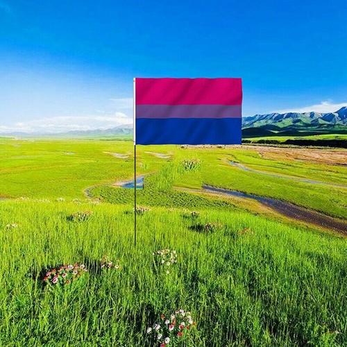 Bisexual LARGE Flag 150x90cm Bi Sexual Pride LGBT Lesbian Gay rainbow Mardi Gras - Picture 8 of 12