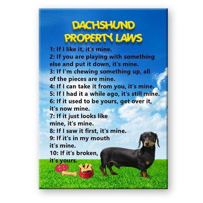 #ad #ad DACHSHUND Property Laws FRIDGE MAGNET No 2 Doxie Steel Cased $9.99