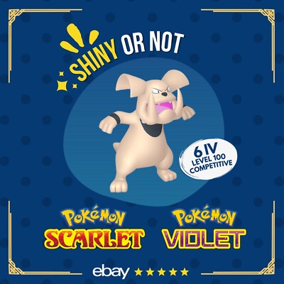 Granbull Shiny or Non   6 IV Competitive Customizable Pokémon Scarlet Violet