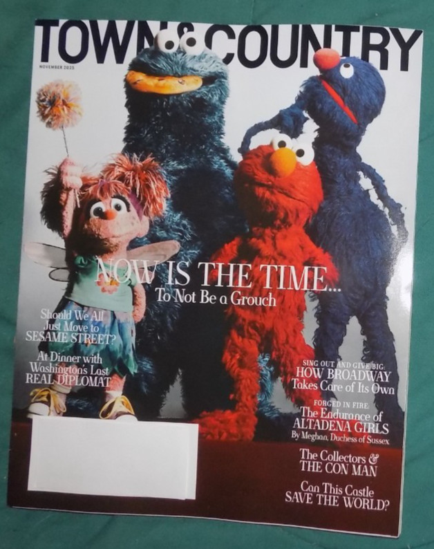 SESAME STREET NOW IS THE TIME TO NOT BE A GROUCH - TOWN & COUNTRY MAGAZINE