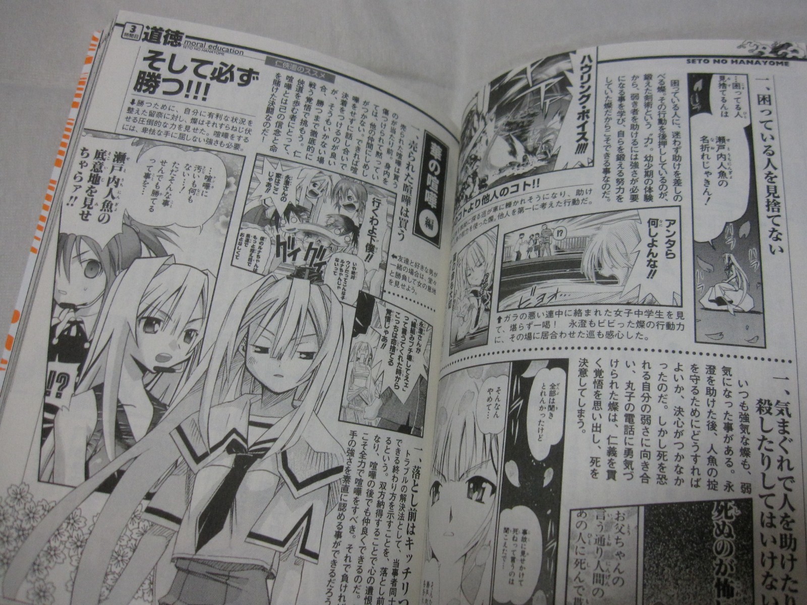 USED Seto no Hanayome Official Guide Book Sakura Japanese Manga Kimura Tahiko