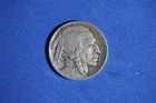 1913-T1 Buffalo Nickel #P31292