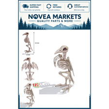 Poseable Raven Skeleton Decoration - 12.5 Halloween Prop with Joints for Indoor