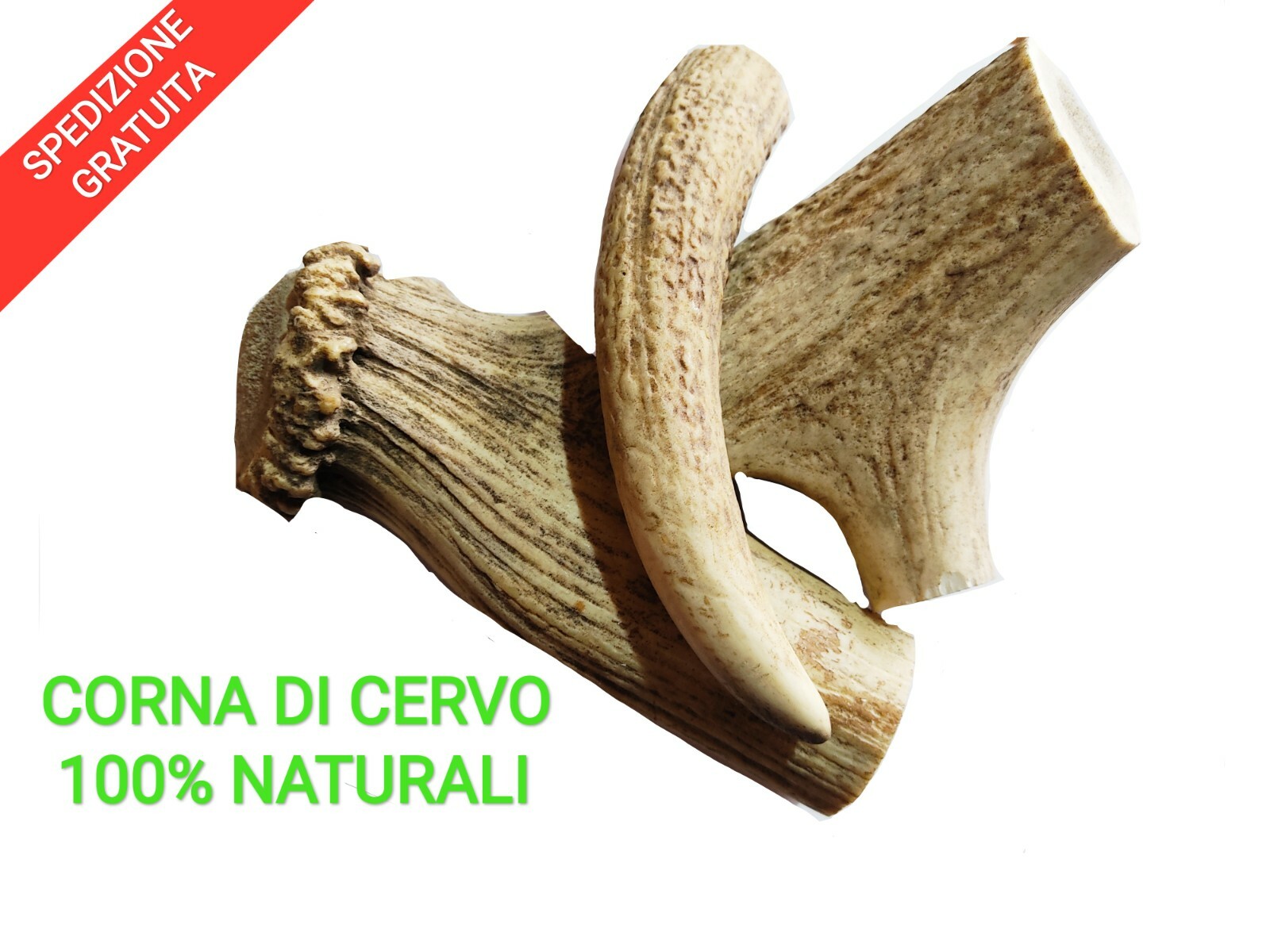 Corna di cervo naturali snack per cani S/M/L/XL/XXL varie misure per denti...