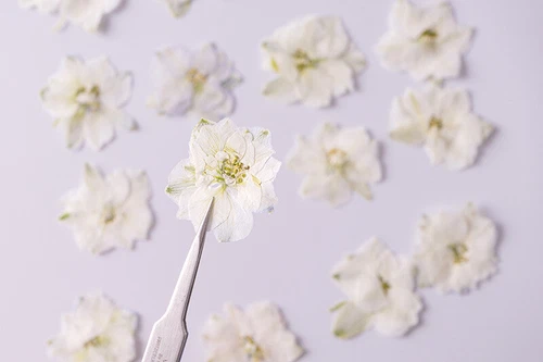 Dried Pressed Flowers Natural Epoxy Resin Candle Nail Art Scrapbooking Craft AU - Picture 96 of 210