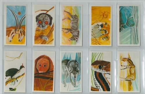 Brooke Bond. RE-ISSUE. A full set, 40 British cards, B32: 'Vanishing Wildlife' - Picture 5 of 8