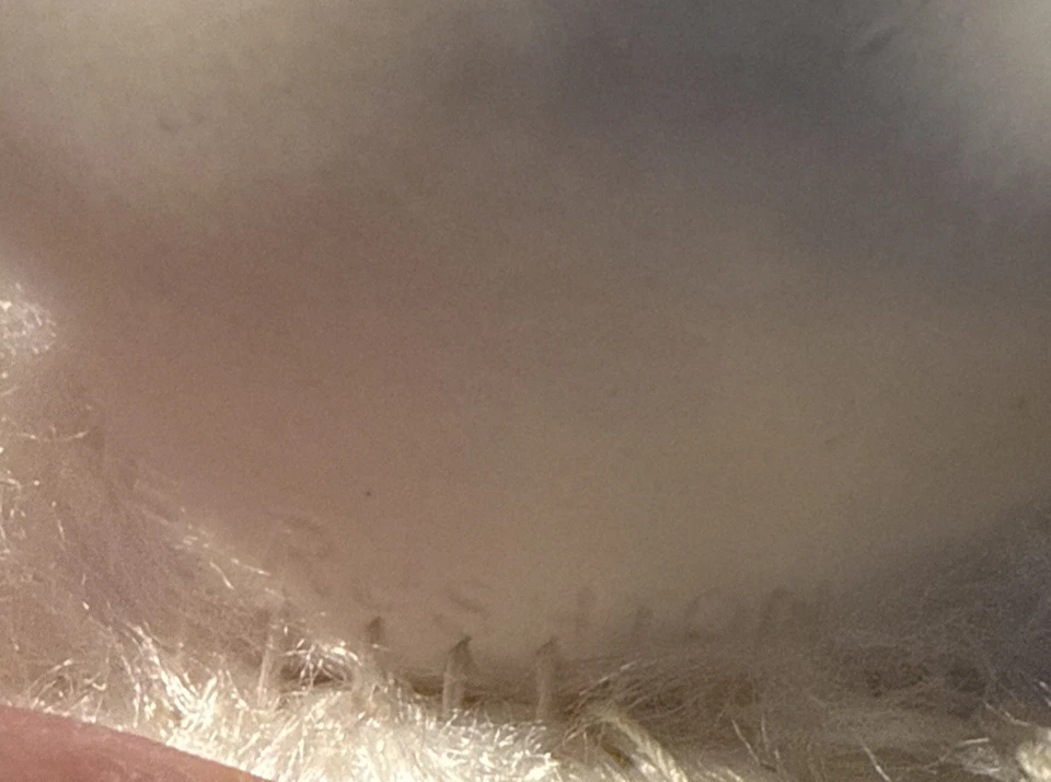 RUSHTON 1960s Rare White Bunny Rabbit Rubber Face Doll American Vintage - Image 4 of 4