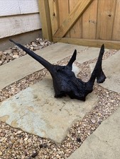 Natural driftwood for aquarium/terrarium/arts and crafts