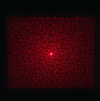 5pcs Laser Light Speckle Pattern DOE Diffractive Optical Elements Grating Lens