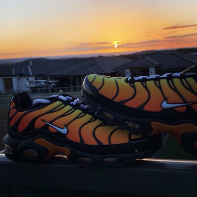 dark sunset tns