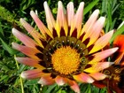 Bild 6 von 8