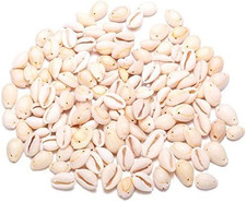 130-150 PCS Cowrie Shell Beads, White Natural Spiral Shell Beads Summer Beach Co