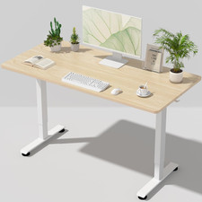 55 Inch Large Electric Standing Desk, 4 Memory Heights Adjustable,Sit to Stand U