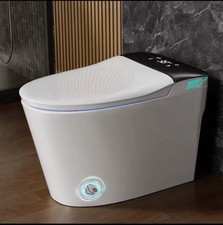 Elongated Smart Toilet with Bidet Built in, ADA Bidet Height, Foam Dispenser