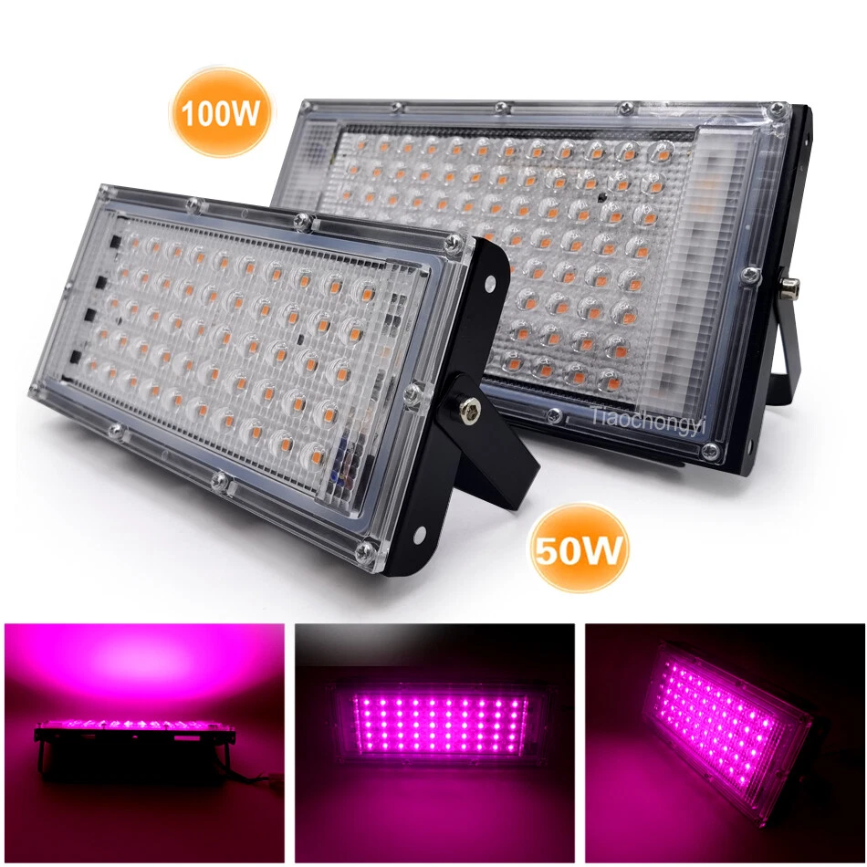 110v cheap flood light