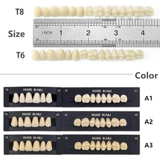 Set of 28pcs Dental Acrylic Resin Denture Teeth Full Set Upper&Lower A1/A2/A3