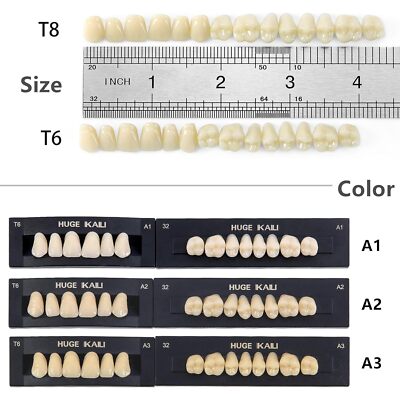 Set of 28pcs Dental Acrylic Resin Denture Teeth Full Set Upper&Lower A1/A2/A3