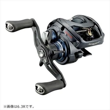 DAIWA 21 STEEZ A TW HLC 7.1R Fishing Reel Baitcast 7.1:1 From Japan