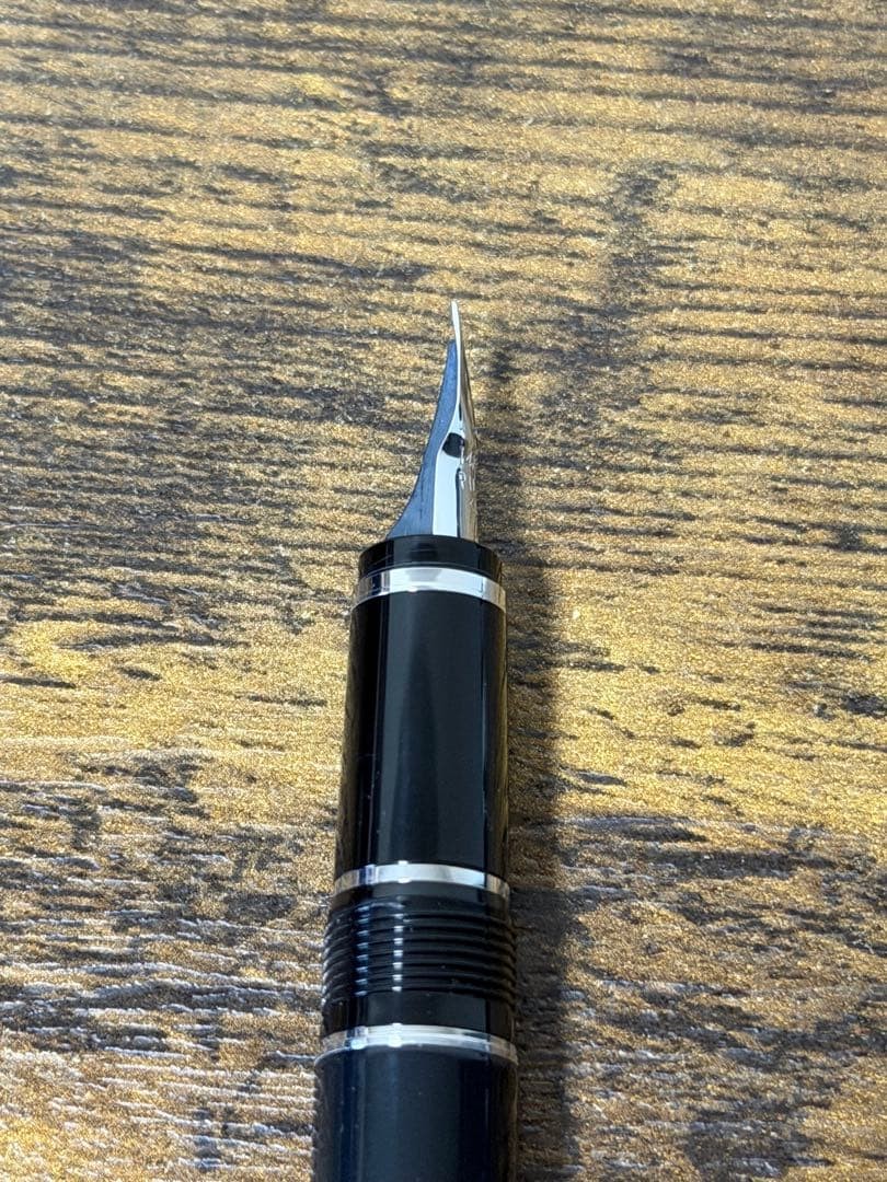 PILOT SE NIB Fountain Pen 14K Metal Grip Elabo Luxury Write Authentic Rare