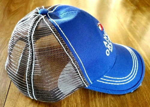 Gorra de béisbol ajustable azul y marrón ANGRY HARD HARD CIDER - Imagen 9 de 12