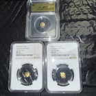 Lot of 3 1/500 oz Gold American Bald Eagle Head Rounds MS70 NGC & ICG Graded