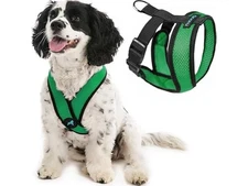Gooby Comfort X Head in Harness - Small Hunter Green Small Chest (11.75-15.5") 