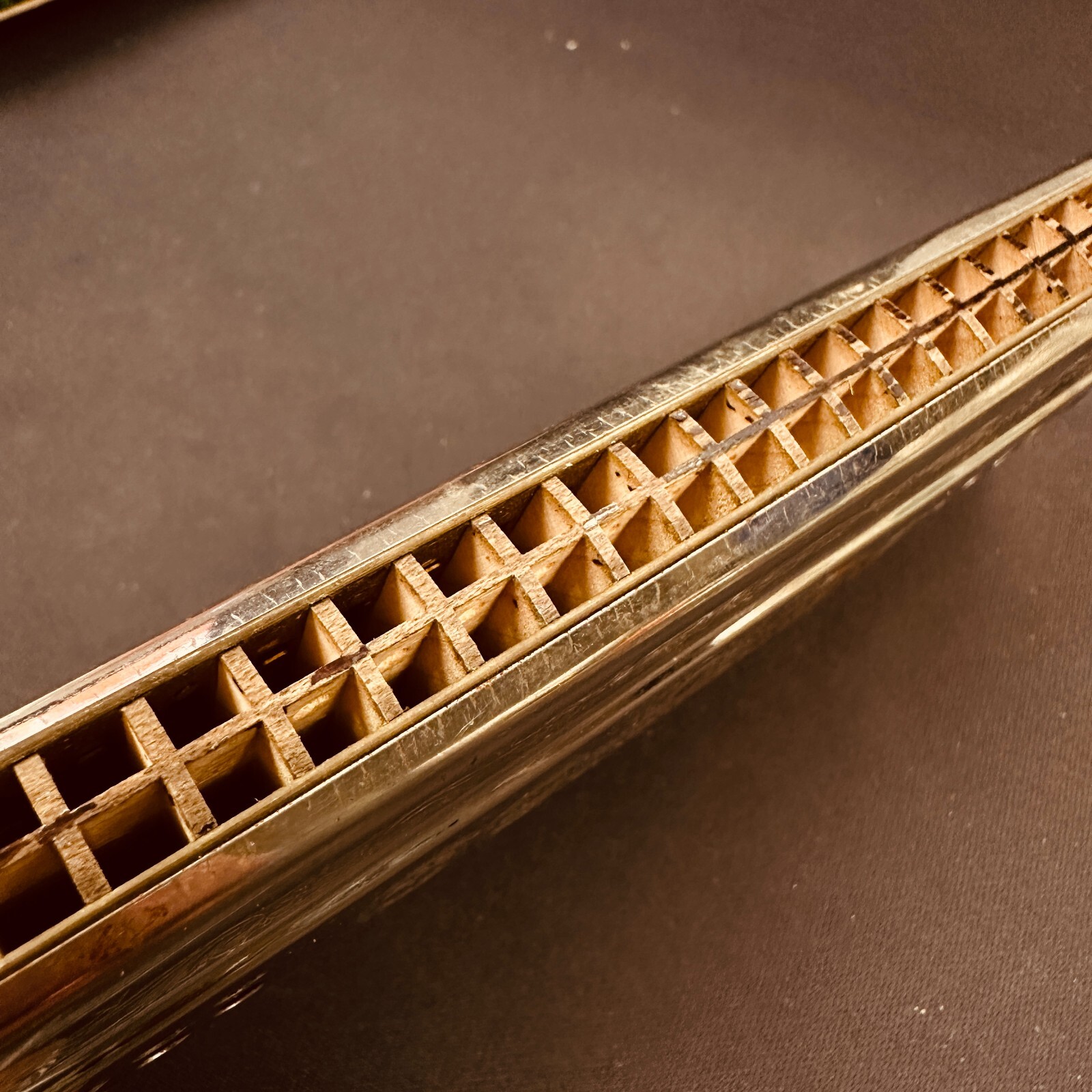 HARMONICA M. HOHNER "THE ECHO HARP" DOUBLE C/G Bell Metal Reeds Made in