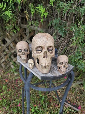 The Sandman Corinthian skull