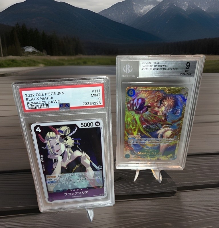 Bandai One Piece Card Game 2022 Romance Dawn JP Holo Graded 2-Card Lot Luffy